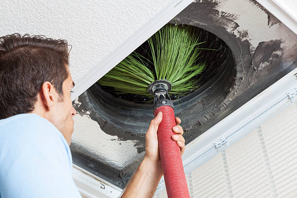 Air Duct Mold Removal in NC